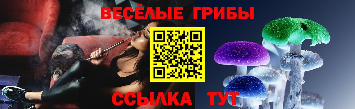 Псилоцибиновые грибы мицелий  Вход с VPN  Волоколамск 